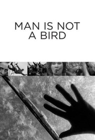 Man Is Not a Bird 1965