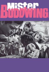 دانلود فیلم Mister Buddwing سال 1966 - آقای بادوینگ