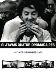 دانلود فیلم If I Had Four Dromedaries سال 1966 - اگر چهار شترمرغ داشتم