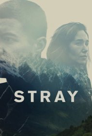 دانلود فیلم Stray سال 2018 - سرگردان