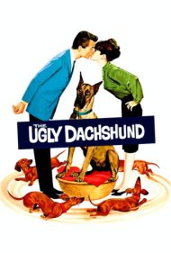 دانلود فیلم The Ugly Dachshund سال 1966 - داشهوند زشت