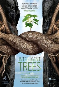 دانلود فیلم Intelligent Trees سال 2017 - درختان باهوش