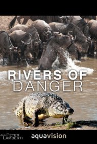 دانلود فیلم Rivers of Danger سال 2004 - رودخانه‌های خطر