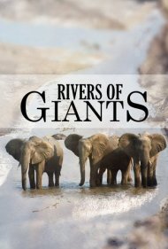 دانلود فیلم Rivers of Giants سال 2005 - رودخانه‌های غول‌ها