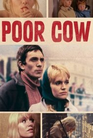دانلود فیلم Poor Cow سال 1967 - گاو بیچاره