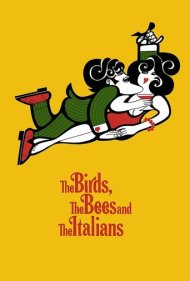 The Birds, the Bees and the Italians 1966