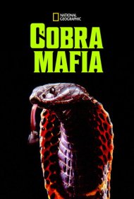دانلود فیلم Cobra Mafia سال 2015 - مافیای کبرا