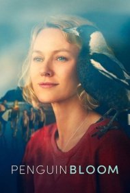دانلود دوبله فارسی فیلم Penguin Bloom سال 2020 - پنگوئن بلوم