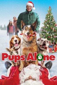 دانلود دوبله فارسی فیلم Pups Alone سال 2021 - تنها در خانه سگی