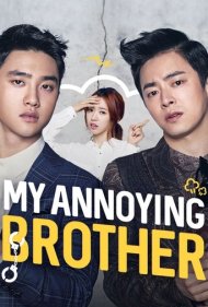 دانلود دوبله فارسی فیلم My Annoying Brother سال 2016 - به خاطر برادرم
