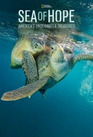 دانلود فیلم Sea of Hope: America's Underwater Treasures سال 2017 - دریای امید: گنجینههای زیر آب آمریکا