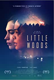 دانلود دوبله فارسی فیلم Little Woods سال 2018 - جنگل کوچک