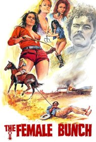 دانلود فیلم The Female Bunch سال 1971 - دارودسته زنان