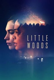 دانلود دوبله فارسی فیلم Little Woods سال 2018 - جنگل کوچک