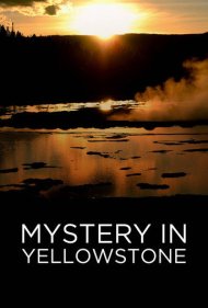 دانلود فیلم Mystery in Yellowstone سال 2015 - راز در یلوستون