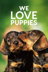 دانلود فیلم We Love Puppies سال 2017 - ما عاشق توله سگها هستیم