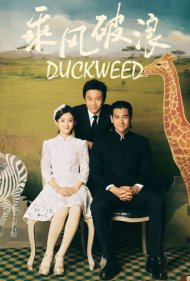 دانلود فیلم Duckweed سال 2017 - سرخس آبی