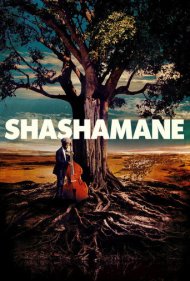 Shashamane 2016