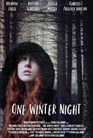 دانلود فیلم One Winter Night سال 2019 - یک شب زمستانی