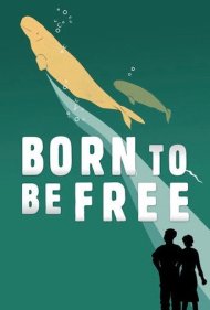 دانلود فیلم Born to Be Free سال 2017 - متولد برای رهایی