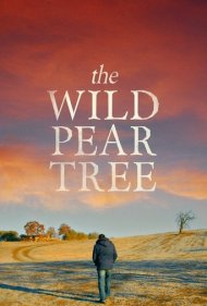 دانلود دوبله فارسی فیلم The Wild Pear Tree سال 2018 - درخت گلابی وحشی