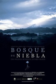 The Cloud Forest 2017