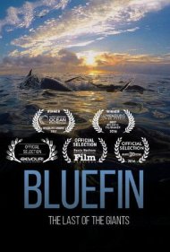 دانلود فیلم Bluefin سال 2016 - دلفین آبی