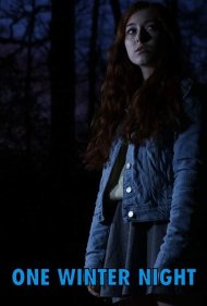 دانلود فیلم One Winter Night سال 2019 - یک شب زمستانی