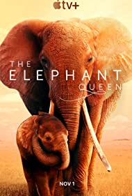 دانلود دوبله فارسی فیلم The Elephant Queen سال 2019 - فیل ملکه