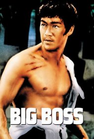 دانلود فیلم The Big Boss سال 1971 - رئیس بزرگ