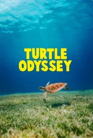 دانلود فیلم Turtle Odyssey سال 2019 - ادیسه لاک‌پشت