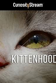 دانلود فیلم Kittenhood سال 2015