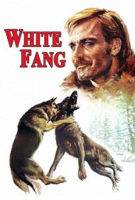 دانلود فیلم White Fang سال 1973 - سپید دندان