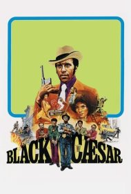 دانلود فیلم Black Caesar سال 1973 - سزار سیاه