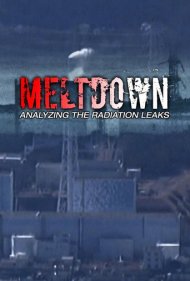 دانلود فیلم Meltdown: Analyzing the Radiation Leaks سال 2014 - فروپاشی: تحلیل نشتهای رادیواکتیو