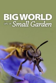 دانلود فیلم Big World In A Small Garden سال 2017 - دنیای بزرگ در باغچهای کوچک