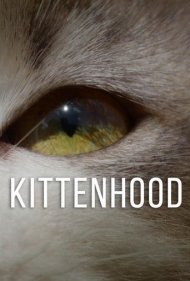 دانلود فیلم Kittenhood سال 2015