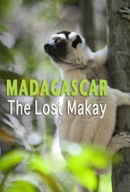 دانلود فیلم Madagascar: The Lost Makay سال 2011 - ماداگاسکار: ماکای گمشده