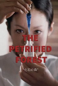 دانلود فیلم The Petrified Forest سال 1973 - جنگل سنگشده