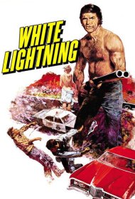 دانلود فیلم White Lightning سال 1973 - رعد و برق سفید