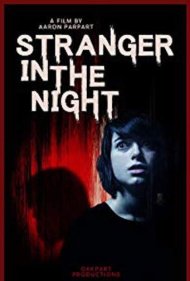 دانلود فیلم Stranger in the Night سال 2019 - غریبه در شب
