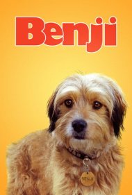 دانلود فیلم Benji سال 1974 - بنجی