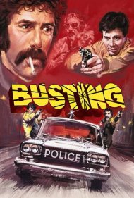 دانلود فیلم Busting سال 1974 - مبارزه با فساد