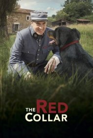 دانلود فیلم The Red Collar سال 2018 - یقه قرمز