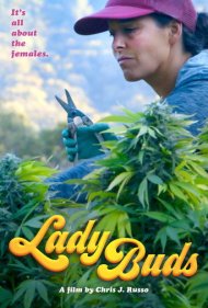 دانلود فیلم Lady Buds سال 2021 - جوانههای بانو