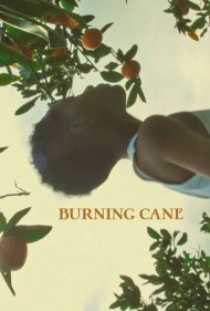 دانلود فیلم Burning Cane سال 2019 - نیشکر سوزان