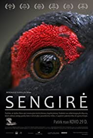 دانلود فیلم The Ancient Woods سال 2017 - جنگل های باستانی