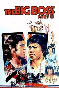 دانلود فیلم The Big Boss Part II سال 1976 - رئیس بزرگ ۲