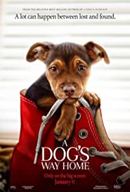 دانلود دوبله فارسی فیلم A Dog's Way Home سال 2019 - مسیر بازگشت یک سگ به خانه