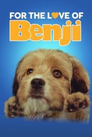 دانلود فیلم For the Love of Benji سال 1977 - به خاطر عشق به بنجی